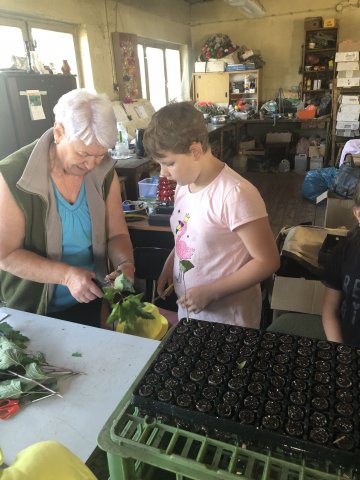 navstevazahradnictvi2b-04