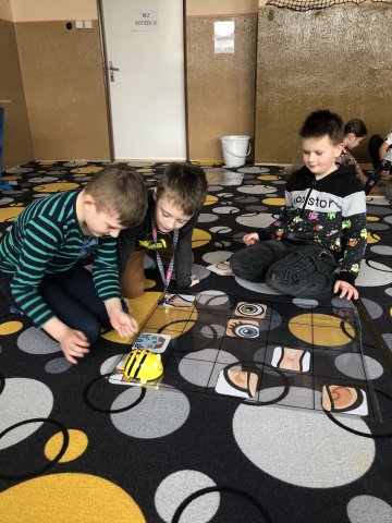 beebot02