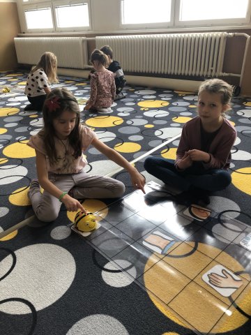 beebot11
