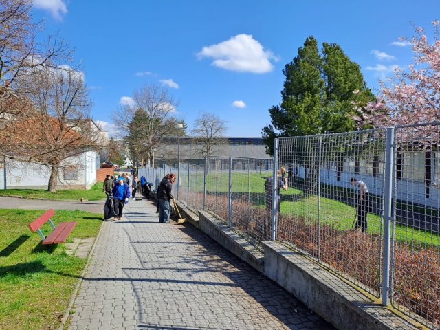 den_zeme2317