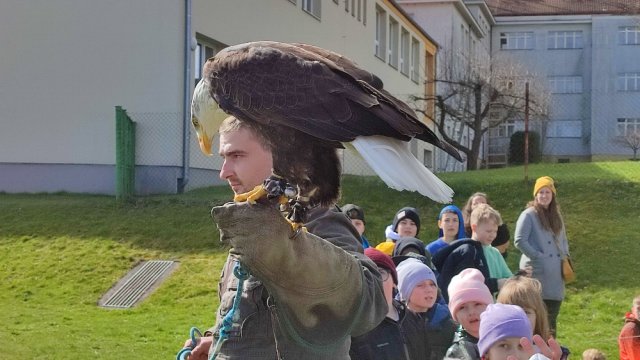 dravci009
