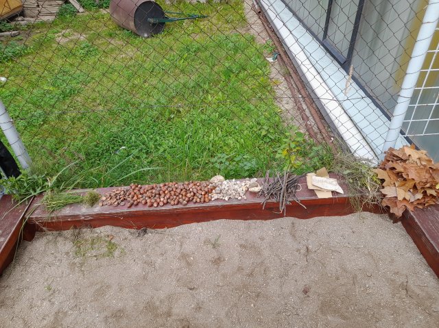 druzina_rijen05