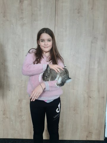 foto13
