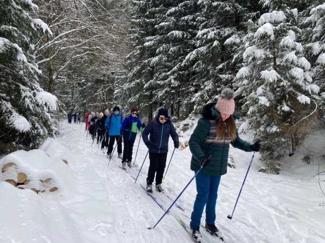 lyze23018