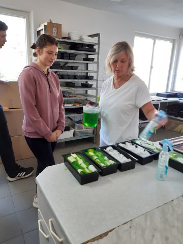 mydlarna16