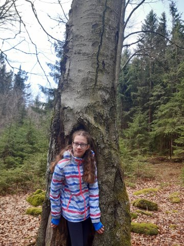 novohradsko10