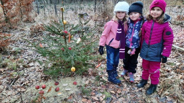 vanoce_zviratka007