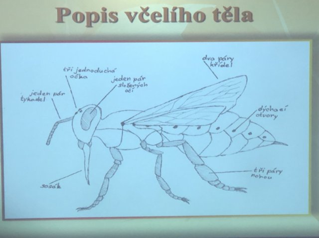 vcelar202