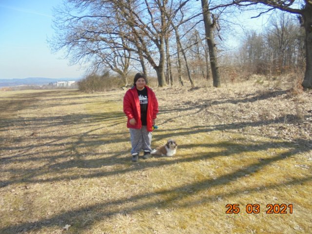 vyzva054
