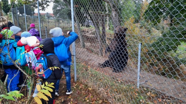 zoo05