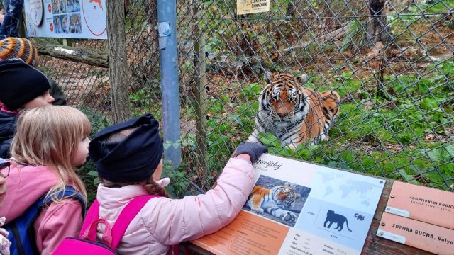 zoo06